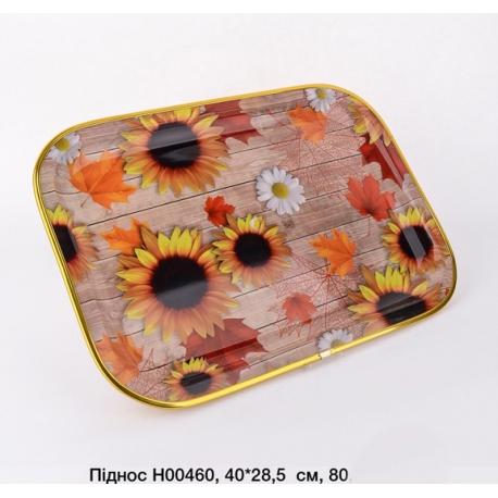 Піднос 40х28см